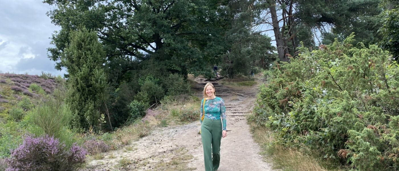 recreatiepark chaletpark bungalowpark