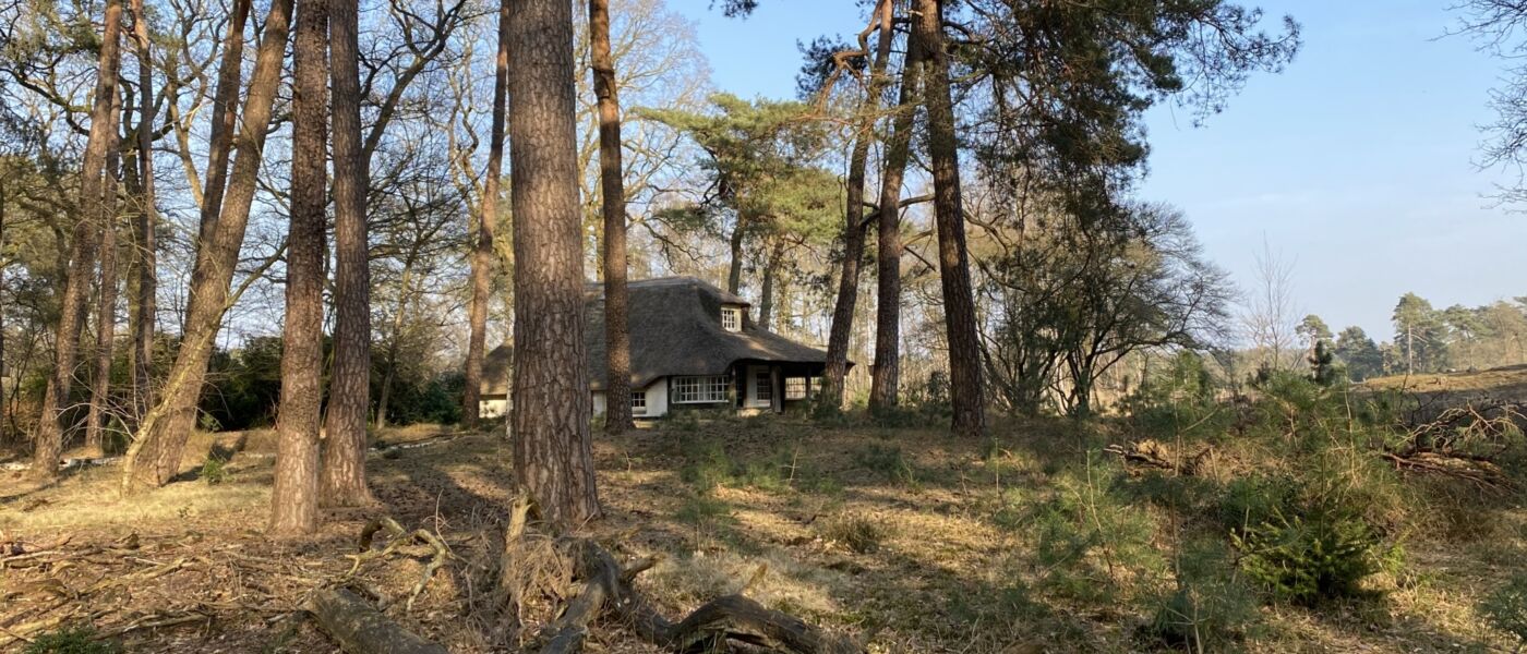 Landschap Overijssel natuur bos heide wandelen