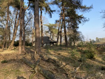Landschap Overijssel natuur bos heide wandelen